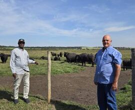 باستيراد أبقار حلوب دنماركية .. نيجيريا تتحرك لتقليص واردات الألبان بـ1.5 مليار دولار سنويًا 6 GsWeDQtXIAAA1YP باستيراد أبقار حلوب دنماركية .. نيجيريا تتحرك لتقليص واردات الألبان بـ1.5 مليار دولار سنويًا