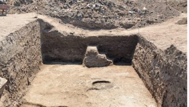 مصر تعلن تفاصيل كشف أثري جديد.. اكتشاف مدينة أثرية تاريخية في الدلتا يكشف أسرار الحضارة القديمة 3 IMG 20250621 WA0008 مصر تعلن تفاصيل كشف أثري جديد.. اكتشاف مدينة أثرية تاريخية في الدلتا يكشف أسرار الحضارة القديمة