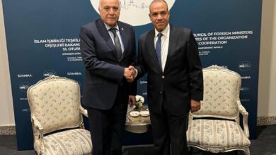 IMG 20250622 WA0005 تفاصيل لقاء وزيري خارجية مصر والجزائر في اسطنبول 