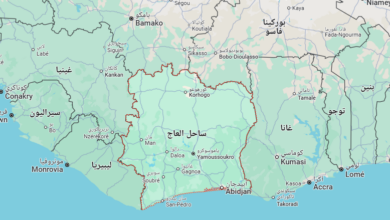 استبعاد أربعة مرشحين بارزين من انتخابات كوت ديفوار يثير جدلًا واسعًا 9 Screenshot 2025 06 04 232553 استبعاد أربعة مرشحين بارزين من انتخابات كوت ديفوار يثير جدلًا واسعًا