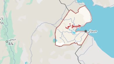 دليلك الشامل للاستثمار في جيبوتي: فرص واعدة وحوافز كبيرة أمام القطاع الخاص المصري 6 Screenshot ٢٠٢٥ ٠٦ ١٦ ١٤ ٠٧ ٤٦ ٣٣ 3d9111e2d3171bf4882369f490c087b4 دليلك الشامل للاستثمار في جيبوتي: فرص واعدة وحوافز كبيرة أمام القطاع الخاص المصري