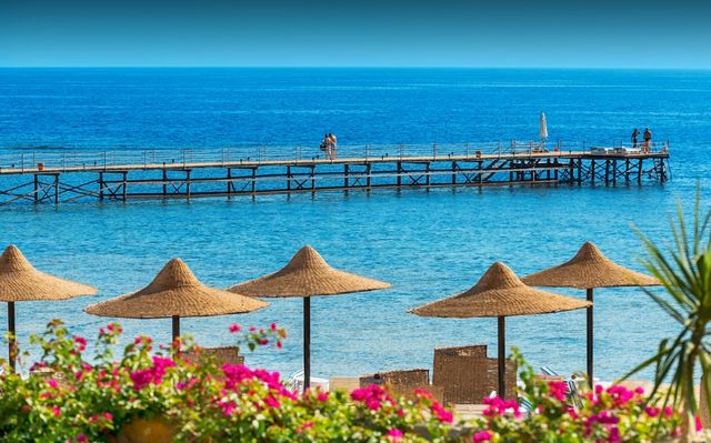 Where is Marsa Alam 1 مرسى علم تدعو لزيادة توفير الطاقة الكهربائية لتغطية الزيادة المرتقبة في الغرف الفندقية 