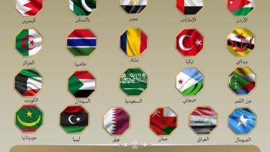 21 دولة عربية وإسلامية تؤكد رفض وإدانة الهجمات الإسرائيلية علي إيران 1 c3c1473e 61e6 4e01 9f02 0f6512f38ca5 21 دولة عربية وإسلامية تؤكد رفض وإدانة الهجمات الإسرائيلية علي إيران