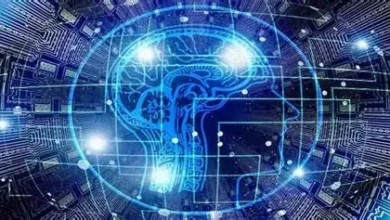 دراسة جديدة تكشف: ChatGPT قد يُضعف وظائف الدماغ ويؤثر على الصحة النفسية 5 download 3 1 دراسة جديدة تكشف: ChatGPT قد يُضعف وظائف الدماغ ويؤثر على الصحة النفسية