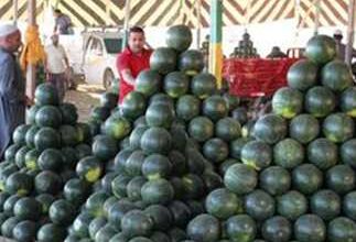 البطيخ: دولتان إفريقيتان ضمن قائمة أكبر 10 دول منتجه له في العالم 6 1814617 0 البطيخ: دولتان إفريقيتان ضمن قائمة أكبر 10 دول منتجه له في العالم