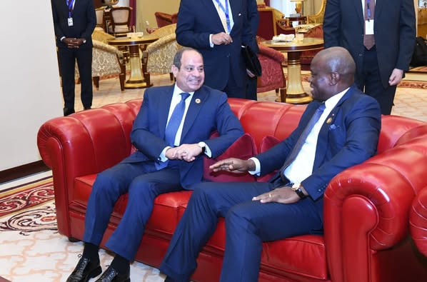 517249962 1293659452122780 6044473173984705386 n الرئيس السيسي يبحث مع عدد من القادة الأفارقة سبل دفع جهود التنمية وحفظ السلم والأمن بأفريقيا