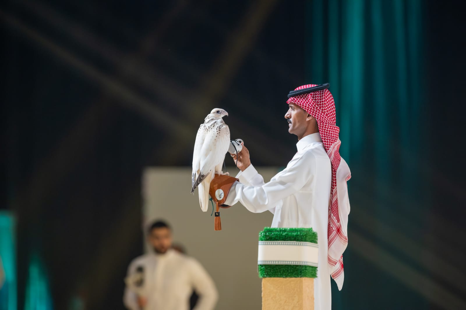 5a996512 a526 45d9 b7d4 2c26f04b7e77 السعودية .. 5 أغسطس انطلاق المزاد الدولي لمزارع إنتاج الصقور