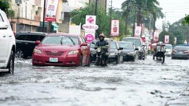 738x415 cmsv2 eb0ea735 2860 5bea 8a30 c4f92b148201 9395509 نيجيريا: فيضانات تقتل 25 شخصًا شمال البلاد بالتزامن مع بدء إضراب الطواقم الطبية