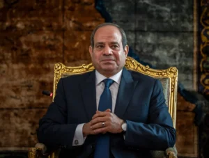 مصر تُكثّف جهودها لتعزيز الشراكة مع الدول الإفريقية لمواجهة تحديات القارة 2 مصر