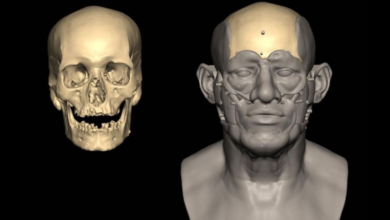 دراسة لأقدم حمض نووي لرجل مصري تكشف اصل المصريين 80% من شمال افريقيا و20% من العراق 2 Ancient egyptian genome دراسة لأقدم حمض نووي لرجل مصري تكشف اصل المصريين 80% من شمال افريقيا و20% من العراق