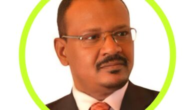 الكاتب السوداني مجدي عبد العزيز يكتب : قطار العرفان… من القاهرة الي أسوان 5 IMG 20250722 WA0019 الكاتب السوداني مجدي عبد العزيز يكتب : قطار العرفان… من القاهرة الي أسوان