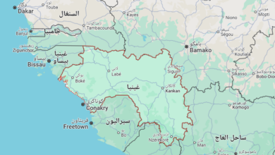 100 إصابة مؤكدة .. جدري القرود يضرب غينيا 1 Screenshot 2025 07 11 185929 100 إصابة مؤكدة .. جدري القرود يضرب غينيا