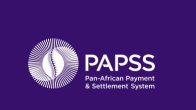 الدفع والتسوية الإفريقي .. نظام ثوري لتحويل المدفوعات عبر الحدود داخل إفريقيا 6 Screenshot 20241203 105229 Google 750x430 1 الدفع والتسوية الإفريقي .. نظام ثوري لتحويل المدفوعات عبر الحدود داخل إفريقيا