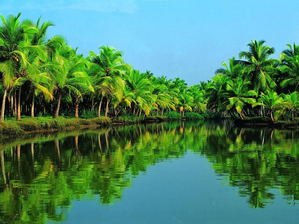 kerala 1 غانا تتألق سياحياً: 4.8 مليار دولار و1.3 مليون زائر في 2024