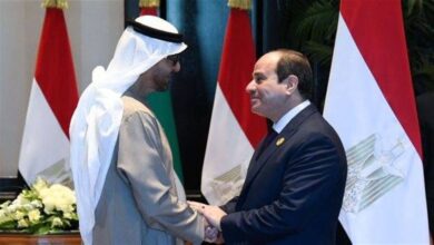 الرئيس السيسي يستقبل الشيخ محمد بن زايد آل نهيان 1 2156303 الرئيس السيسي يستقبل الشيخ محمد بن زايد آل نهيان