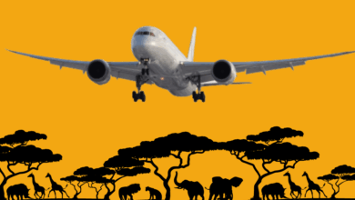 غرب إفريقيا: السفر بين دول المنطقة قطعة من العذاب مسافات قصيرة ورحلات غير آمنة 11 Best African Airlines 2023 غرب إفريقيا: السفر بين دول المنطقة قطعة من العذاب مسافات قصيرة ورحلات غير آمنة