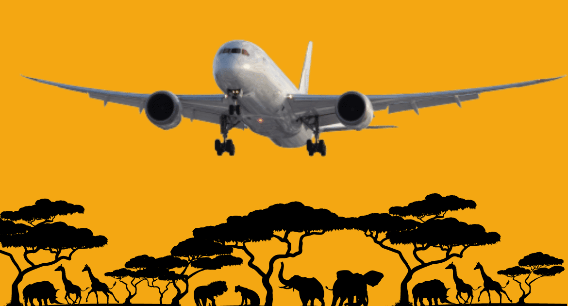 Best African Airlines 2023 غرب إفريقيا: السفر بين دول المنطقة قطعة من العذاب مسافات قصيرة ورحلات غير آمنة