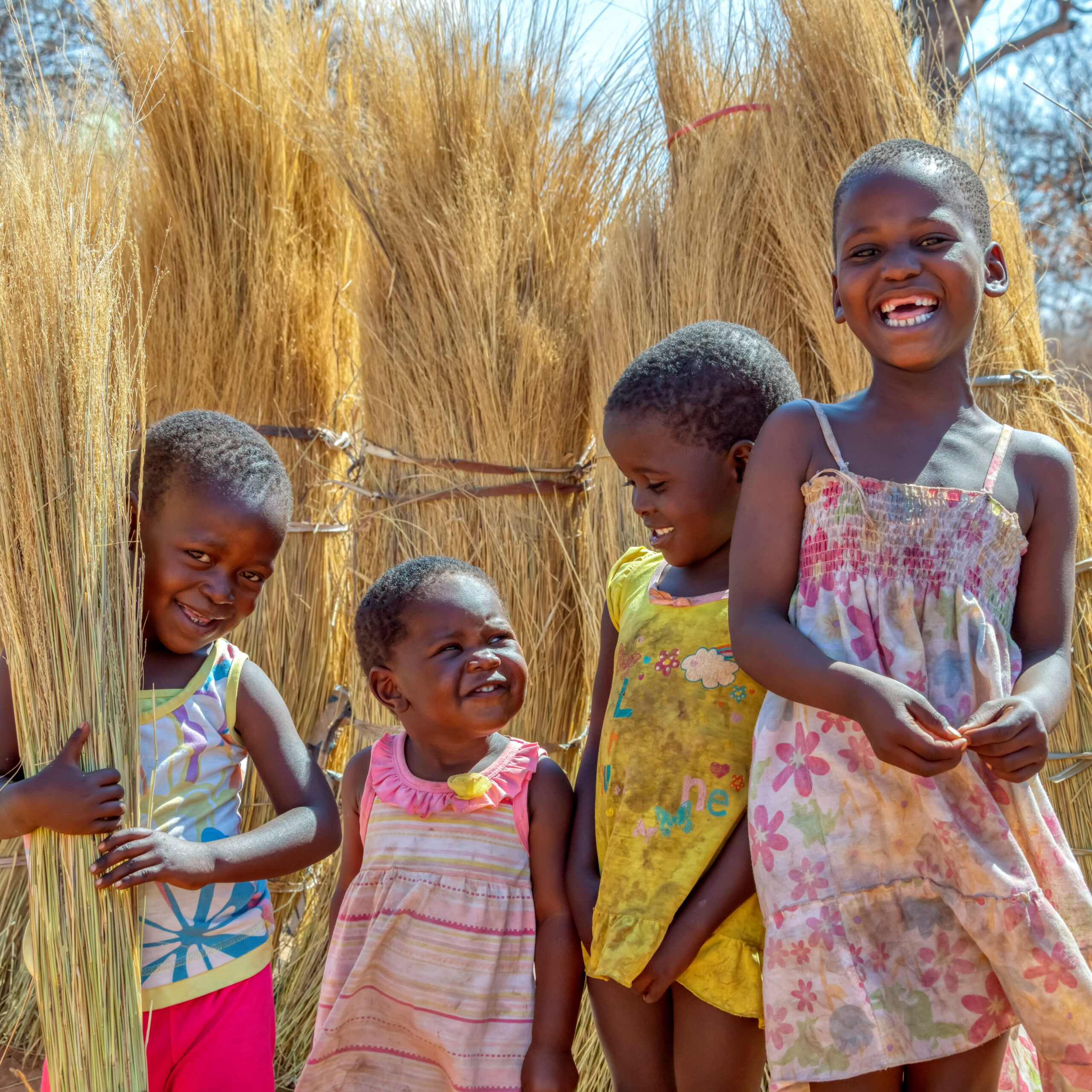 Botswana 1186785291 GettyImages scaled بوتسوانا: تعلن الطوارئ الصحية بعد انهيار منظومة الإمدادات الدوائية