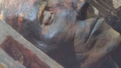 مومياء يويا: الوجه الحقيقي للفراعنة يكشف مفاجأة حول أصول المصريين القدماء 6 FB IMG 1754066284233 مومياء يويا: الوجه الحقيقي للفراعنة يكشف مفاجأة حول أصول المصريين القدماء