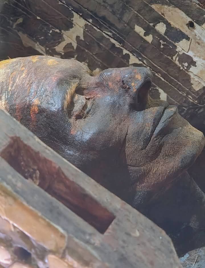 مومياء يويا: الوجه الحقيقي للفراعنة يكشف مفاجأة حول أصول المصريين القدماء 1 FB IMG 1754066284233 مومياء يويا: الوجه الحقيقي للفراعنة يكشف مفاجأة حول أصول المصريين القدماء