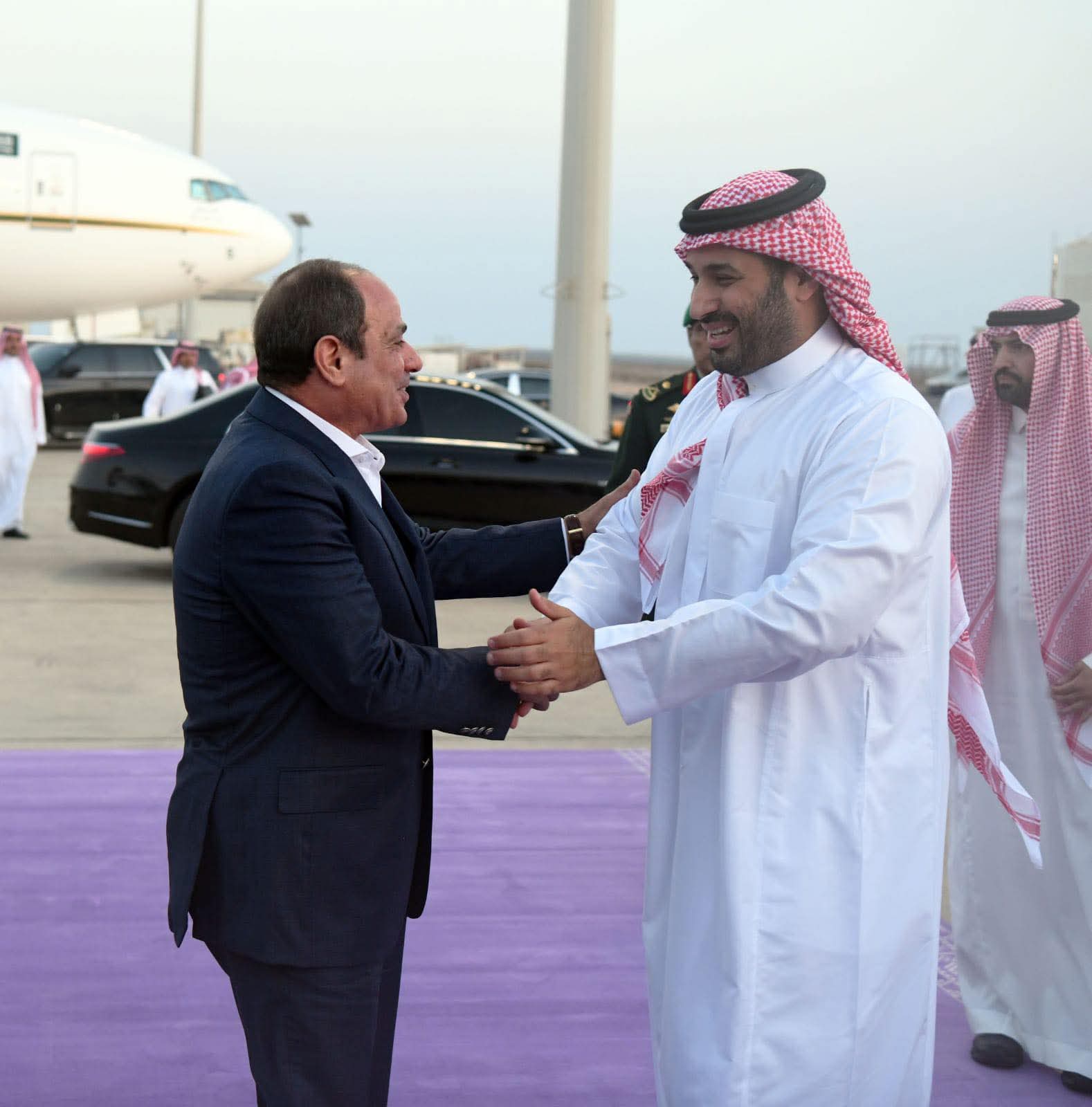 FB IMG 1755798763036 الرئيس السيسي وولي عهد السعودية يشددان على ضرورة الإسراع في إدخال المساعدات الإنسانية إلى قطاع غزة دون عوائق