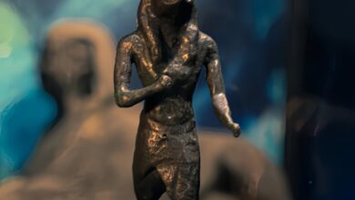 IMG 20250822 WA0011 إعلان نتائج مسابقة هواة التصوير الفوتوغرافي للتراث الثقافي المغمور بالمياه.