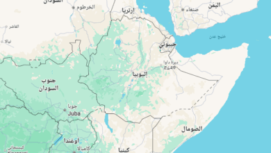 إثيوبيا ..هجوم مسلح بالقرب من أديس أبابا يسفر عن مقتل موظفين في بنك وأفراد من قوات الأمن 3 Screenshot 2025 08 18 230559 إثيوبيا ..هجوم مسلح بالقرب من أديس أبابا يسفر عن مقتل موظفين في بنك وأفراد من قوات الأمن