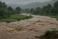 fdc46468 8c8e 4da3 b748 c2c6675873dc إثيوبيا تغرق: فيضان نهر أواش يُشرد آلاف الأسر