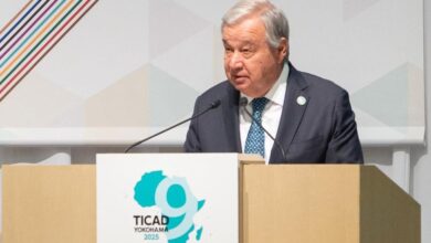 أمين عام الأمم المتحدة : أفريقيا تمتلك كل المقومات اللازمة لتصبح قوة عظمى في الطاقة المتجددة 3 image1170x530cropped 1 1 أمين عام الأمم المتحدة : أفريقيا تمتلك كل المقومات اللازمة لتصبح قوة عظمى في الطاقة المتجددة