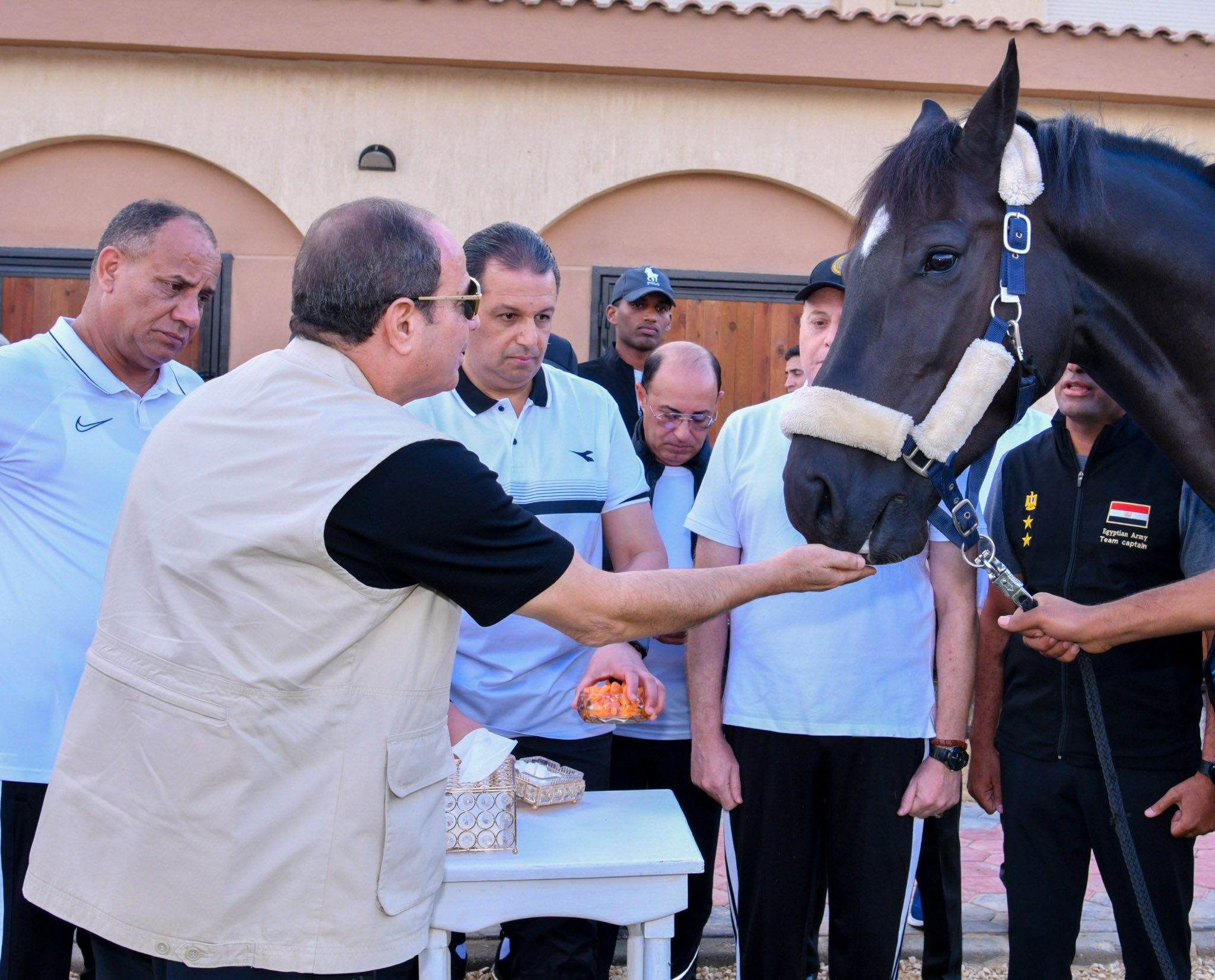 555458488 1352205706268154 4544262046955410345 n الرئيس السيسي يشيد بالاعترافات الدولية المتتالية بالدولة الفلسطينية وجهود ترامب لإيقاف الحرب في غزة