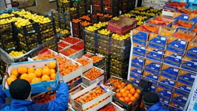 مصر : 7 ملايين طن صادرات زراعية لـ 405 صنف إلى 167 دولة 6 852 مصر : 7 ملايين طن صادرات زراعية لـ 405 صنف إلى 167 دولة