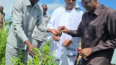 وزير الزراعة السوداني : السودان لن يجوع 4 FB IMG 1758448998377  وزير الزراعة السوداني : السودان لن يجوع