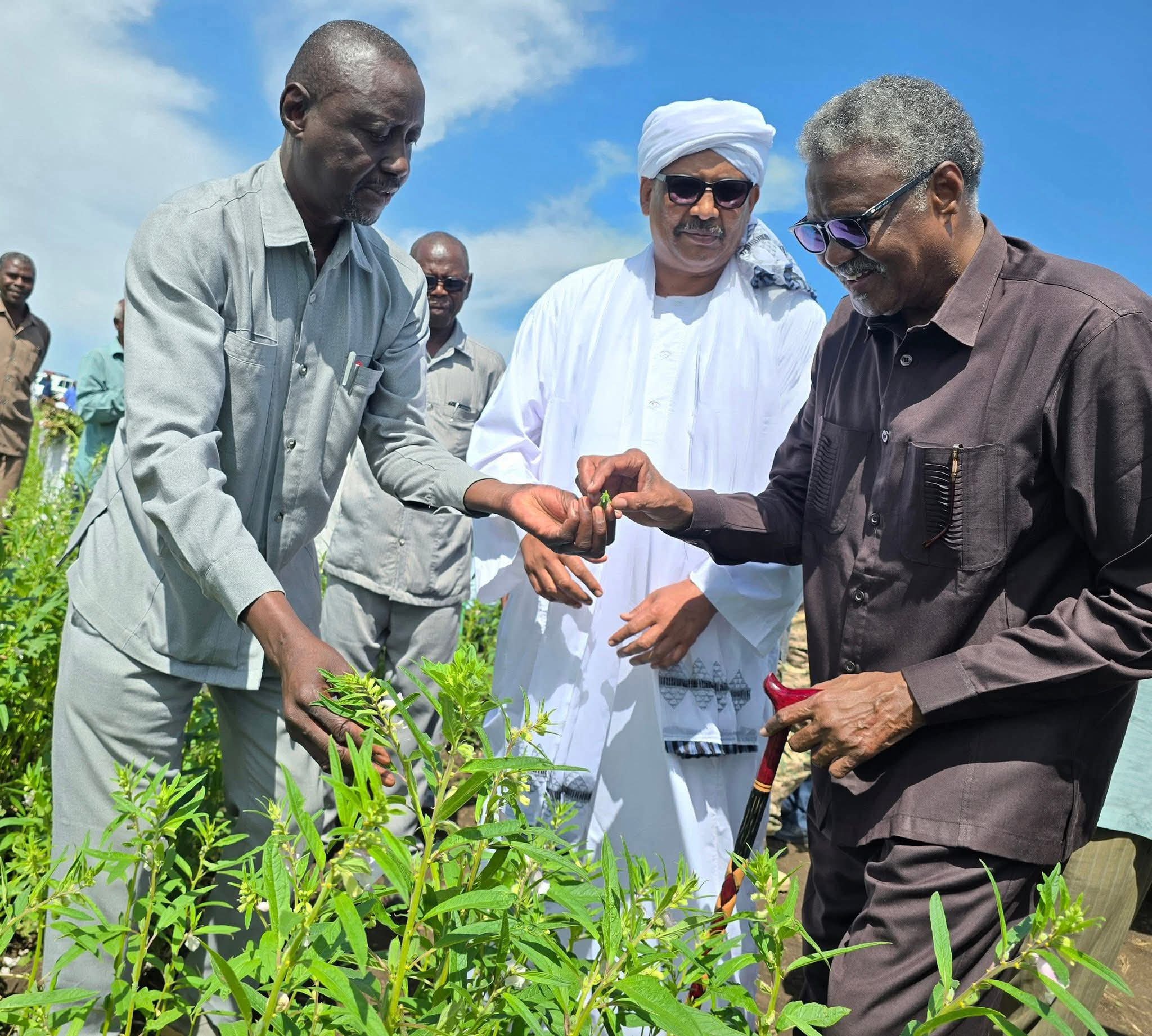 وزير الزراعة السوداني : السودان لن يجوع 1 FB IMG 1758448998377 وزير الزراعة السوداني : السودان لن يجوع