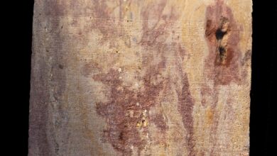 كشف أثري لنسخة جديدة وكاملة من مرسوم كانوب للملك بطليموس الثالث في مصر 6 IMG 20250909 WA0001 كشف أثري لنسخة جديدة وكاملة من مرسوم كانوب للملك بطليموس الثالث في مصر