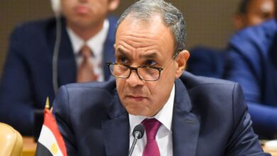 وزير الخارجية المصري : نحن دعاة سلام وليس دعاة حرب وقادرون ومستعدون للدفاع عن أنفسنا وحدودنا 2 f4a594e3 62e6 467b 8a58 e991e9472ce8 وزير الخارجية المصري : نحن دعاة سلام وليس دعاة حرب وقادرون ومستعدون للدفاع عن أنفسنا وحدودنا