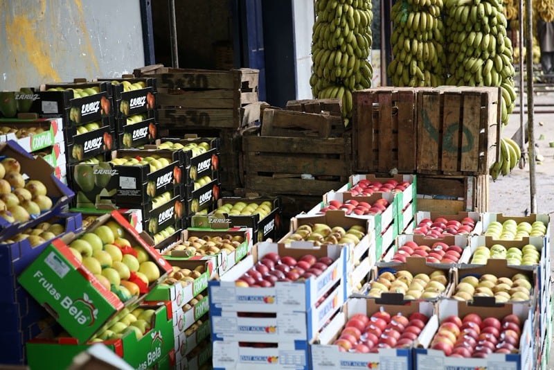 fruits مصر : 7 ملايين طن صادرات زراعية لـ 405 صنف إلى 167 دولة