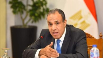 وزير الخارجية: مصر إحدى ركائز الاستقرار في منطقة الشرق الأوسط المضطربة 5 2025 638837582552582214 258 وزير الخارجية: مصر إحدى ركائز الاستقرار في منطقة الشرق الأوسط المضطربة