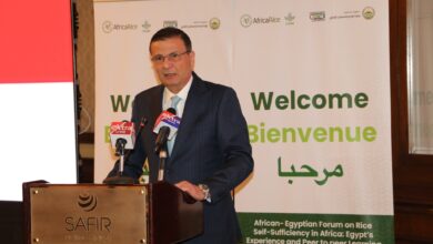 557551160 1115725227415301 3690674008498710128 n مصر تقود أفريقيا نحو الاكتفاء الذاتي من الأرز.. منتدى أفريقي يستعرض التجربة المصرية كنموذج للنجاح في زراعته