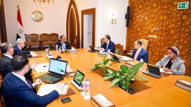 وزير الخارجية يؤكد على أهمية تعزيز الدور المصري في العمل الأفريقي المشترك والمحافل الاقليمية والقارية 7 FB IMG 1761723628190 وزير الخارجية يؤكد على أهمية تعزيز الدور المصري في العمل الأفريقي المشترك والمحافل الاقليمية والقارية