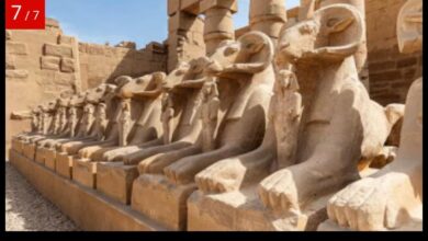 الأقصر ضمن أعرق 6  مدن في العالم ومصر من أبرز 10 وجهات في سياحة الطعام بالشرق الأوسط وفقًا للصحف الهولندية  1 IMG 20251001 WA0009 الأقصر ضمن أعرق 6  مدن في العالم ومصر من أبرز 10 وجهات في سياحة الطعام بالشرق الأوسط وفقًا للصحف الهولندية