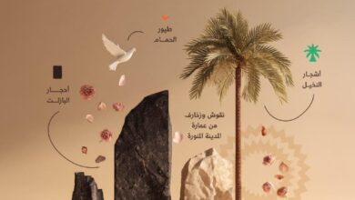 « الهوية السياحية » تعزز تنمية القطاع السياحي للمدينة المنورة وريادتها عالميًا 2 IMG 20251003 WA0015 « الهوية السياحية » تعزز تنمية القطاع السياحي للمدينة المنورة وريادتها عالميًا