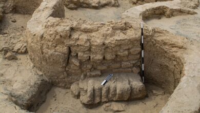 IMG 20251011 WA0011 اكتشاف قلعة عسكرية ضخمة من عصر الدولة الحديثة في شمال سيناء