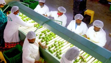 البنك الدولي: إفريقيا جنوب الصحراء على أعتاب نمو اقتصادي قوي 1 afr soar main 1 البنك الدولي: إفريقيا جنوب الصحراء على أعتاب نمو اقتصادي قوي