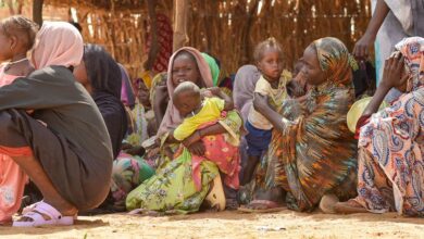 الأمم المتحدة: المحاصرون في الفاشر يعيشون بلا طعام أو ماء 4 image1170x530cropped 1 الأمم المتحدة: المحاصرون في الفاشر يعيشون بلا طعام أو ماء