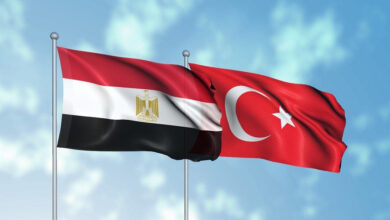 بدر عبدالعاطي