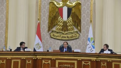 " برلمانية الاتحاد من أجل المتوسط " تعلن منح الرئيس السيسي جائزة "شجرة الزيتون للسلام" 1 592399588 851037474212548 2914607811997930870 n " برلمانية الاتحاد من أجل المتوسط " تعلن منح الرئيس السيسي جائزة "شجرة الزيتون للسلام"