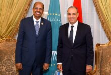IMG 20251102 WA0001 مصر تؤكد دعمها الكامل لجهود الاتحاد الأفريقي الرامية لتسوية النزاعات وتحقيق التنمية الشاملة بالقارة
