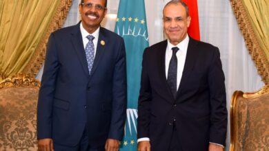 IMG 20251102 WA0001 مصر تؤكد دعمها الكامل لجهود الاتحاد الأفريقي الرامية لتسوية النزاعات وتحقيق التنمية الشاملة بالقارة