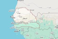 Screenshot 2025 11 29 232954 السنغال تواجه ضغوط السيولة وصندوق النقد يبدي مخاوفه.. والحكومة تعلن وفورات تتجاوز 280 مليار فرنك