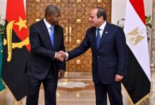 319 الدبلوماسية المصرية في أفريقيا عام ۲۰۲٥ مقاربة شاملة للسلم والتنمية والتكامل الإقليمي